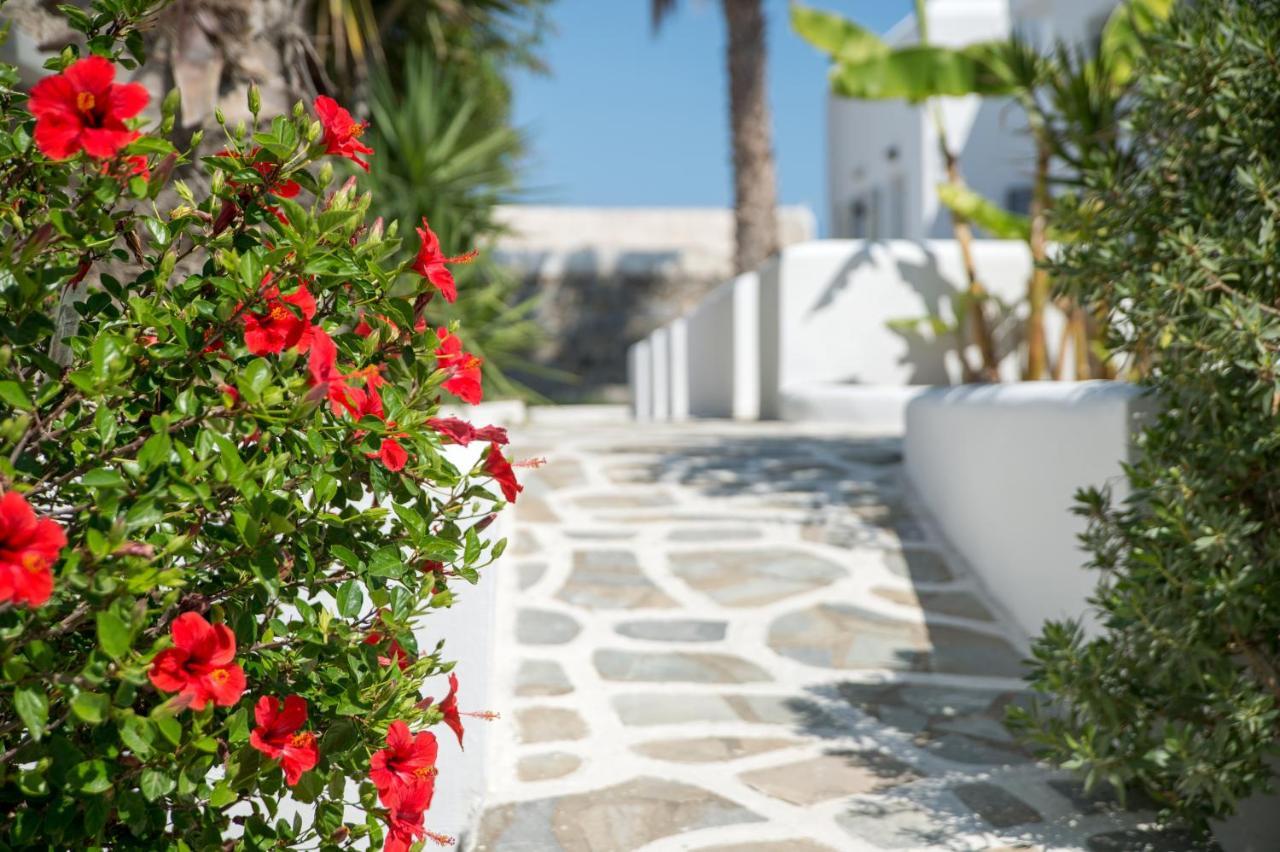 Summer Shades Hotel - Ex Arkoulis 3* Naousa (Paros)